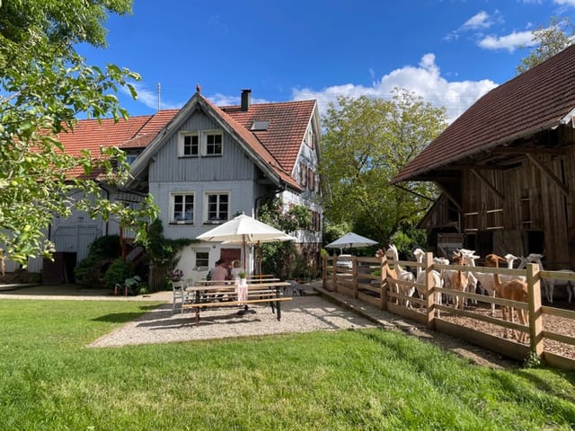 Alpakahof Beinberg · Bad Liebenzell — Ausflugsziel Nordschwarzwald