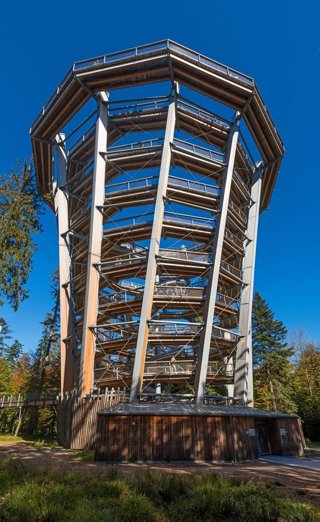 Baumwipfelpfad Bad Wildbad — Ausflugsziel Nordschwarzwald