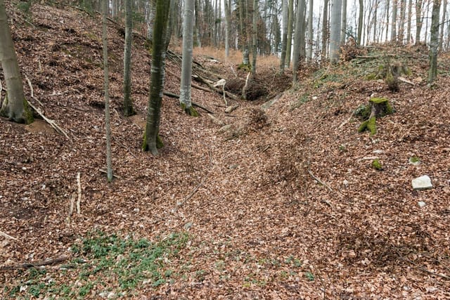 Burgruine Liebeneck — Ausflugsziel Nordschwarzwald